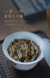 與思想者同行,茶是極好的媒介
