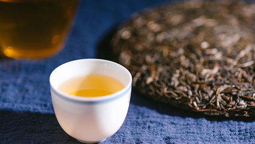 云南古樹普洱茶純正茶葉,生茶與熟茶價格實,批發購買請聯系