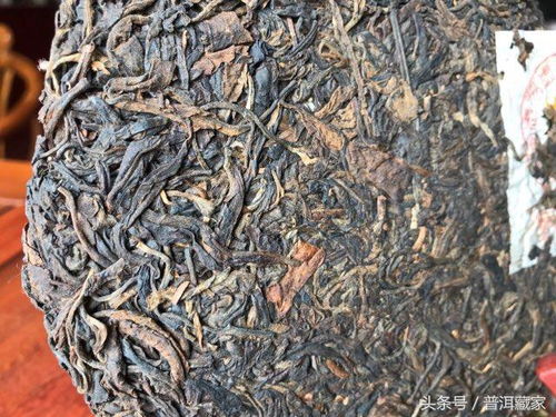 99易昌號(hào)的6個(gè)版本詳解 經(jīng)典易武大樹茶典范