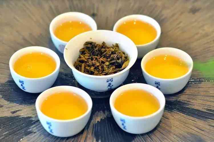 普洱茶選購全指南 從入門到精通的辨別技巧與經(jīng)典口味推薦